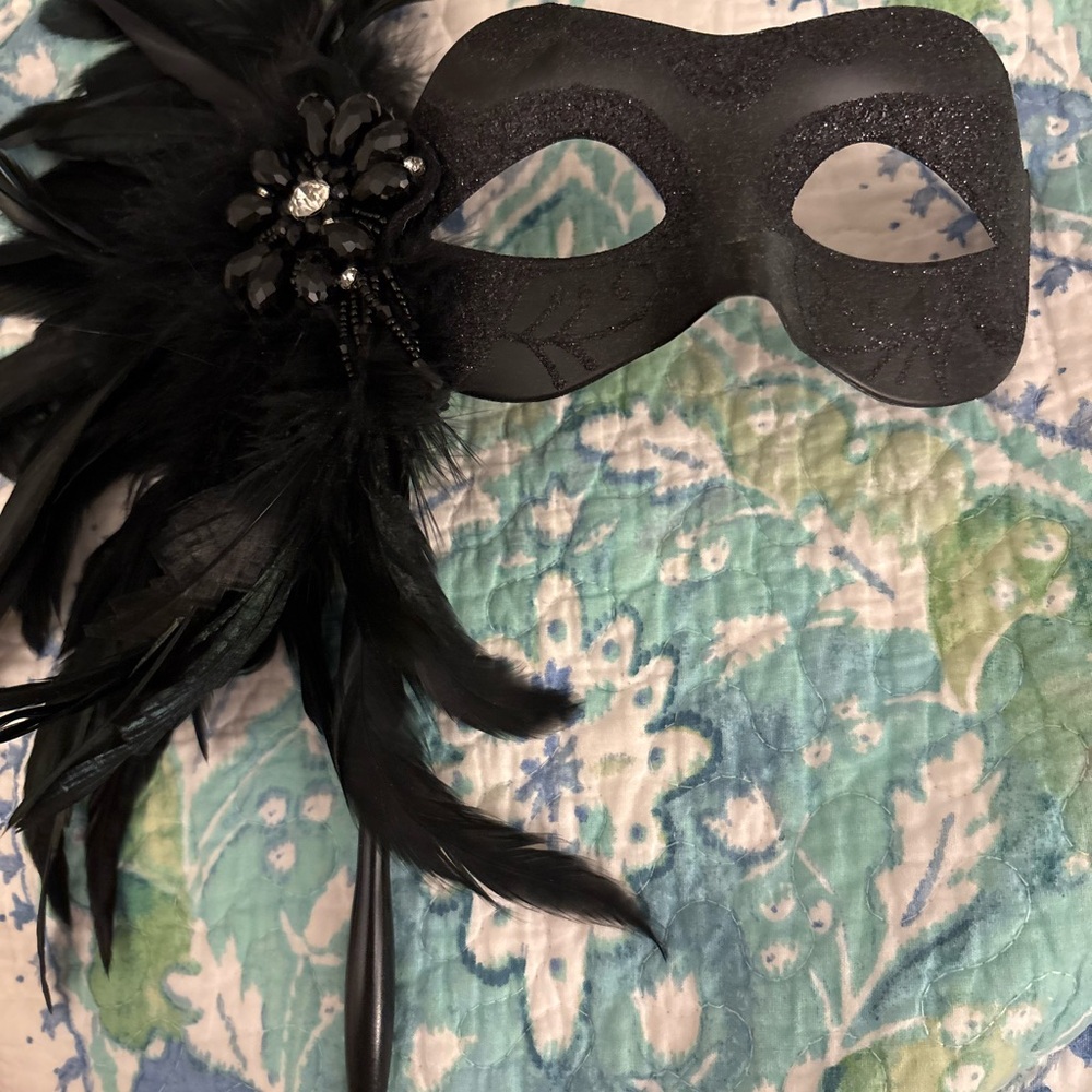 Elegant Black Feathered Face Mask